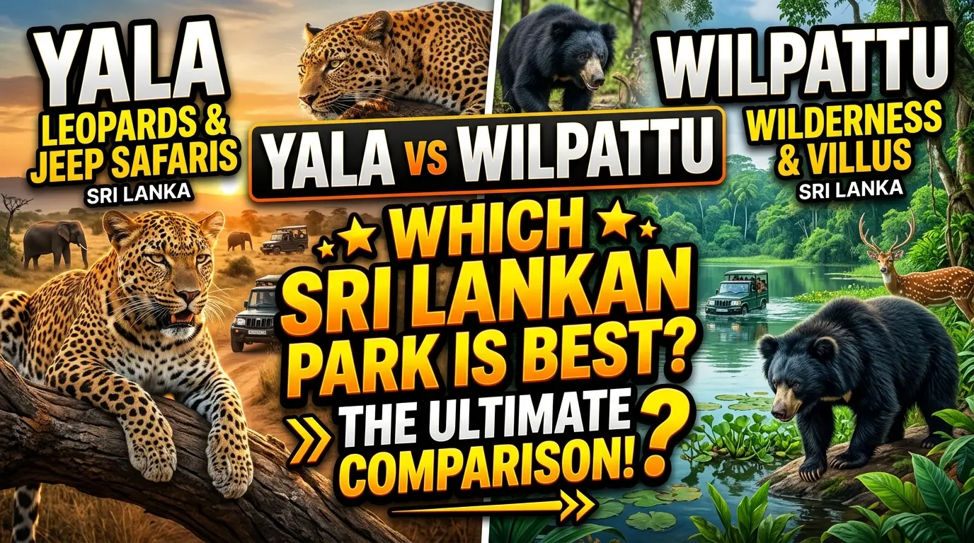 Yala vs Wilpattu: Which Sri Lankan National Park is Best?