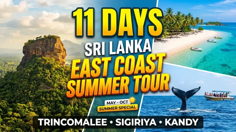 11 Days East Coast Summer Tour (Trincomalee)