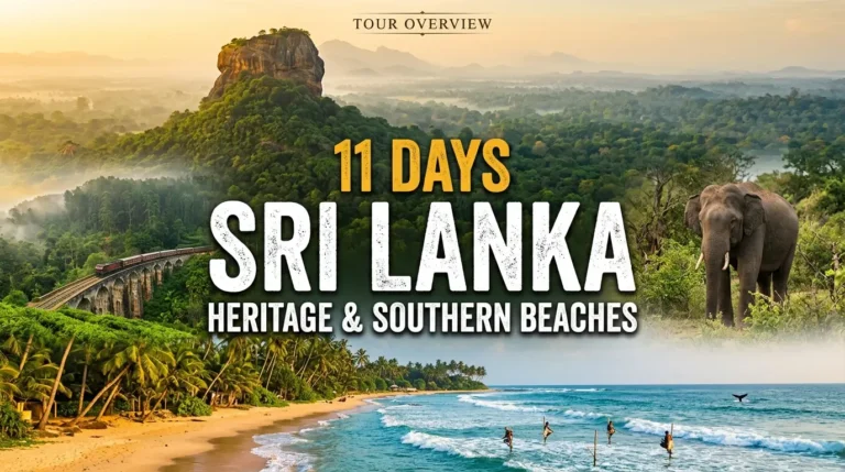 11 Days Sri Lanka Heritage & Southern Beaches
