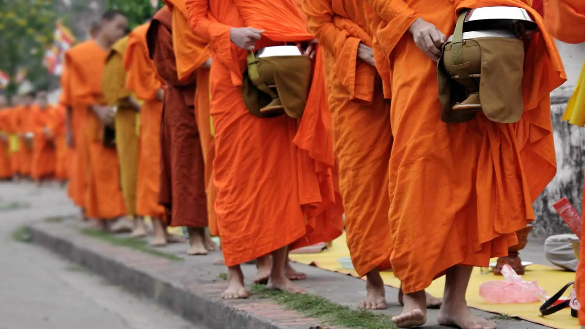 Sri Lanka Tour Gallery