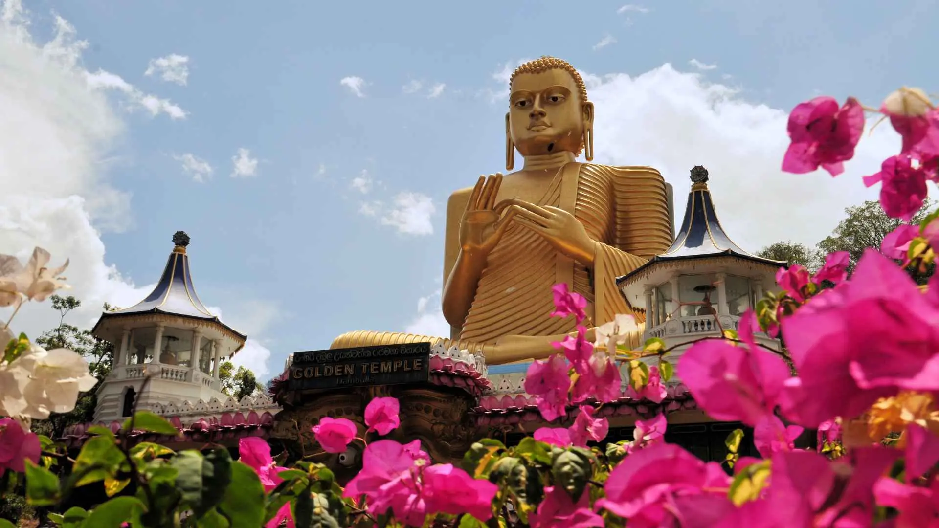 Sri Lanka Tour Gallery