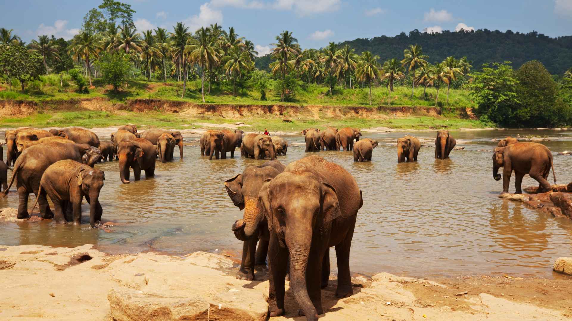Sri Lanka Tour Gallery